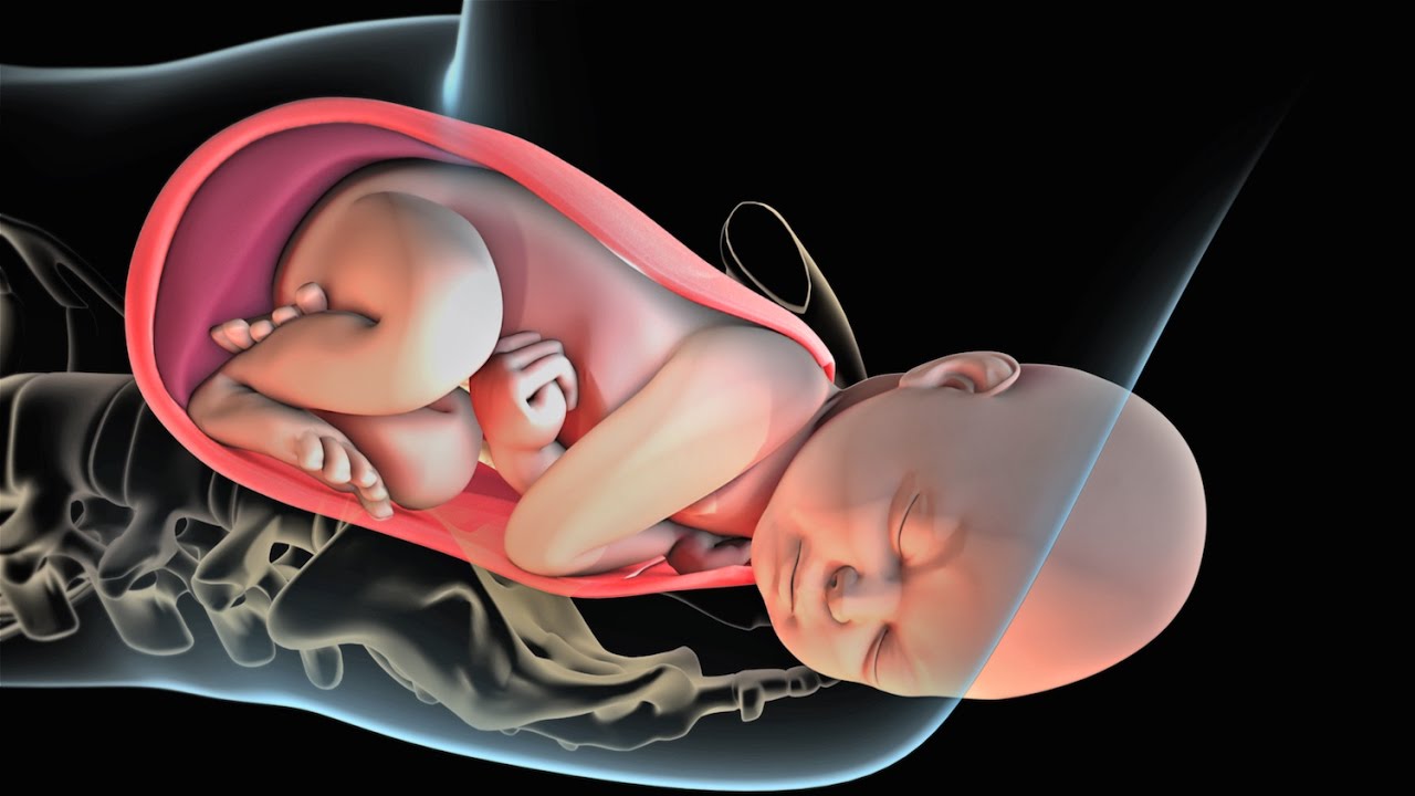Labor and Delivery | Childbirth | Nucleus Health