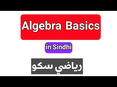 What is Algebra? || Basics Of Algebra || Algebra For Beginners || Sindhi